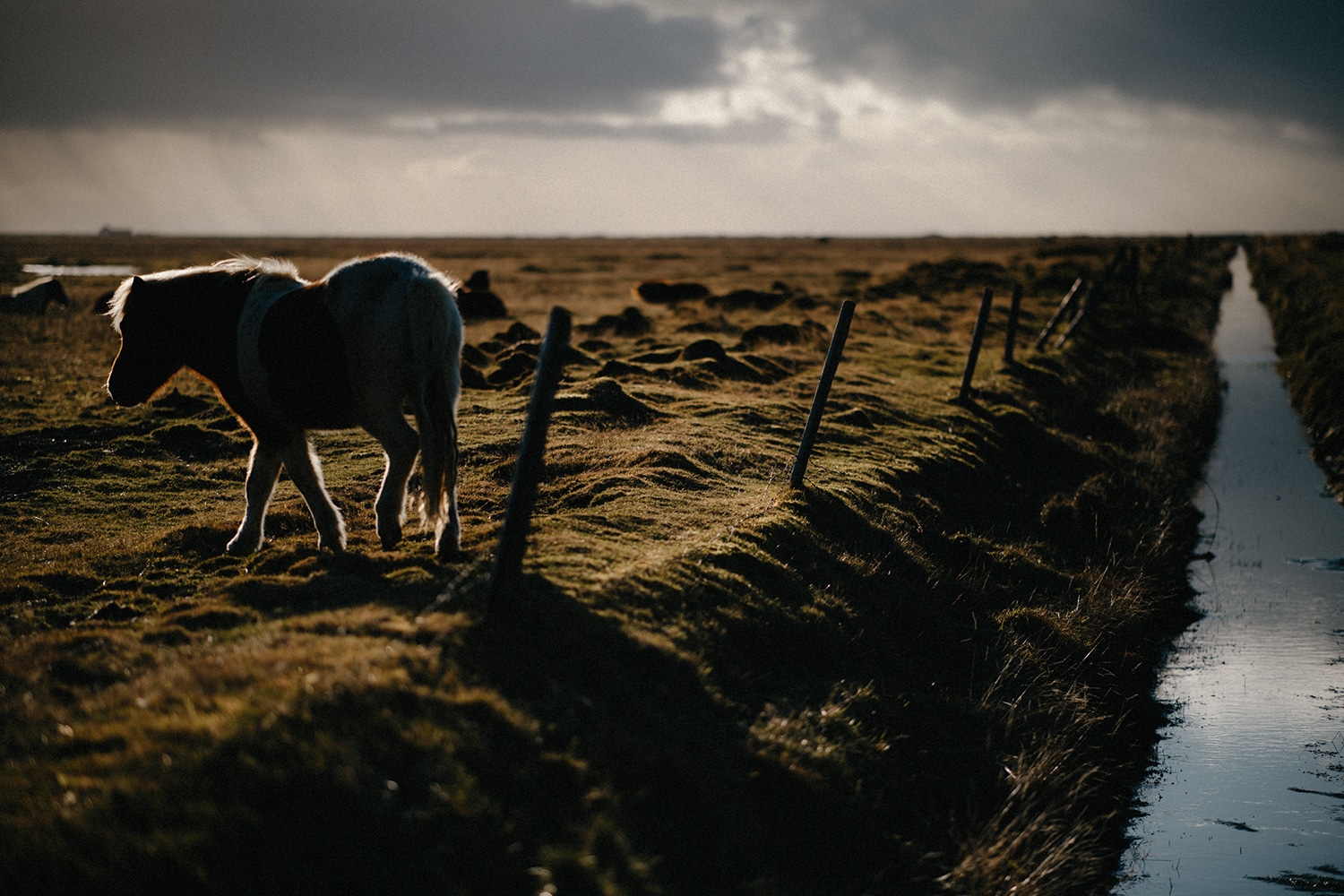 Iceland Wedding Photographer 30